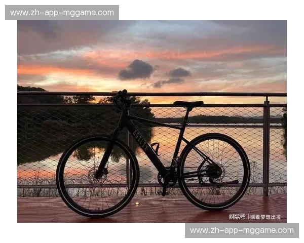 公路车：在城市与山野之间，找到属于你的风