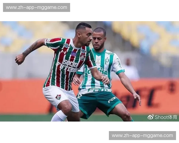 圣保罗vs弗鲁米嫩塞：一场燃烧激情的巴西足球史诗